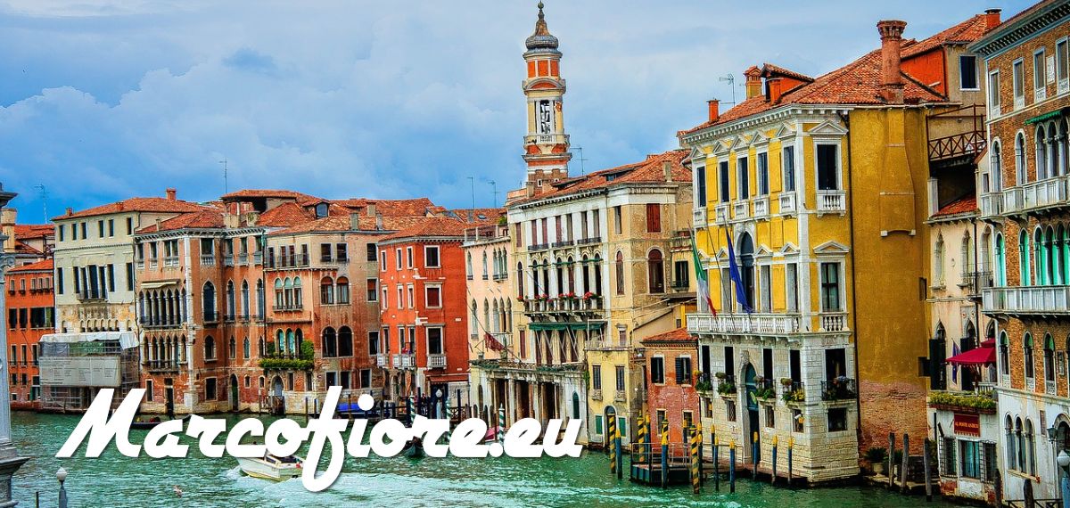 marcofiore.mrdogsblog.com